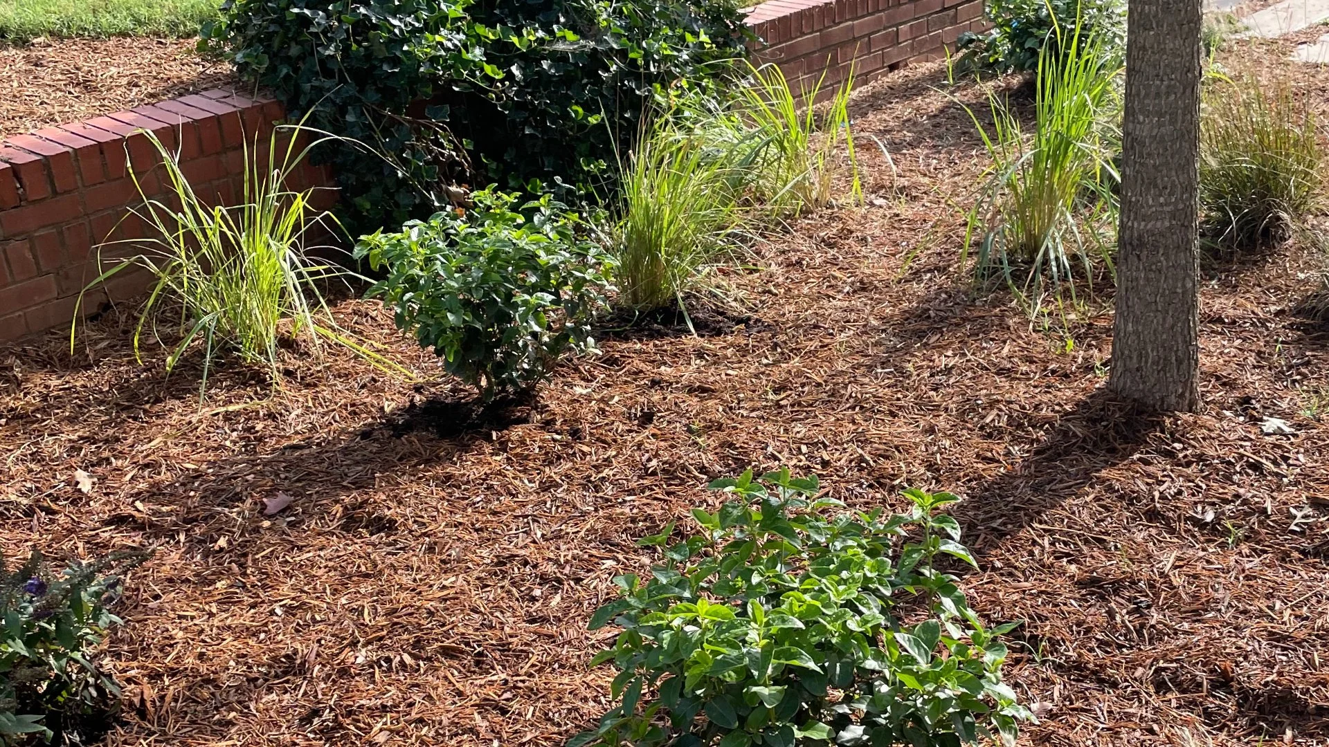 Does It Matter How Much Mulch You Add to Your Landscape?