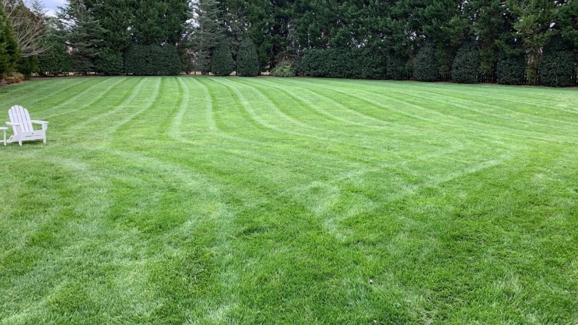 Dark green front lawn in Charlotte, NC.