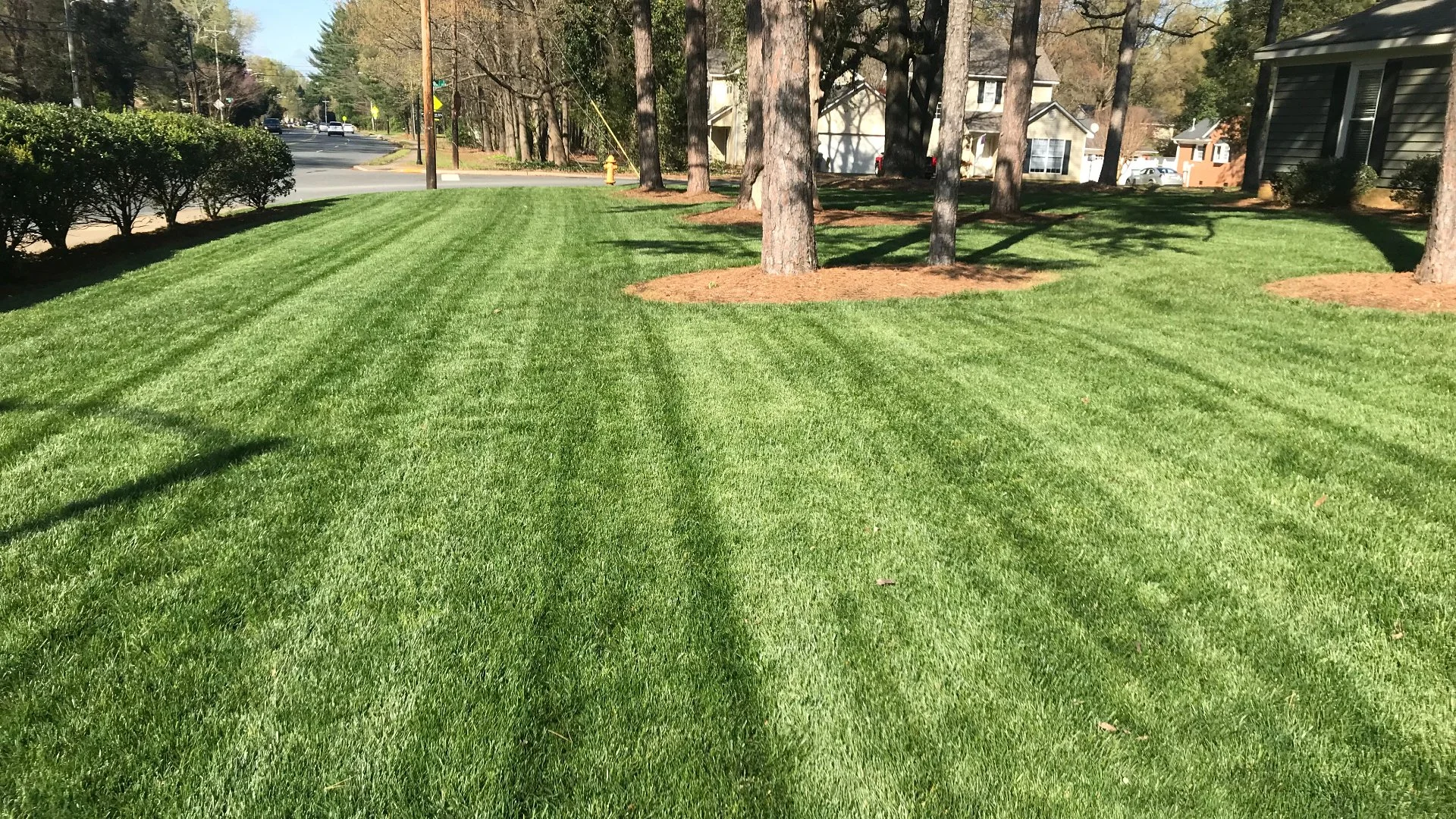 Add Aeration & Overseeding to Your Fall Lawn Care Routine