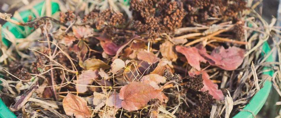 Debris from a landscape bed in Charlotte, NC, on a trash bin.
