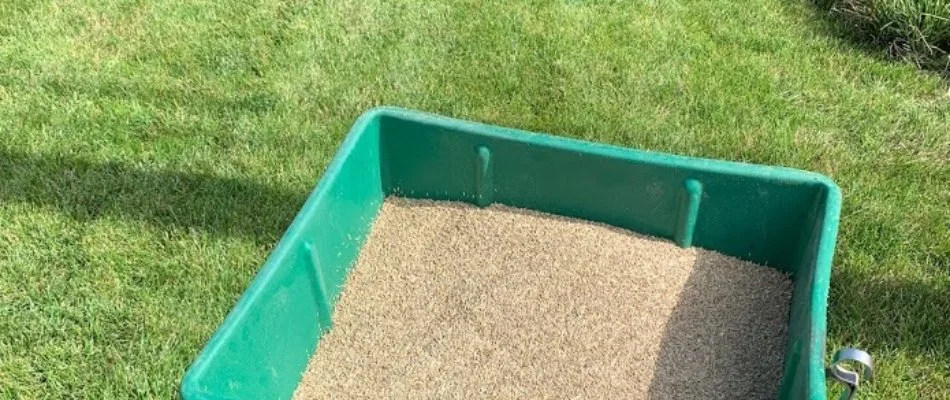 Grass seed spreader on a turf in Charlotte, NC.