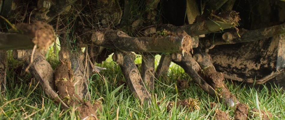 Tines of a core aerator machine in Charlotte, NC.