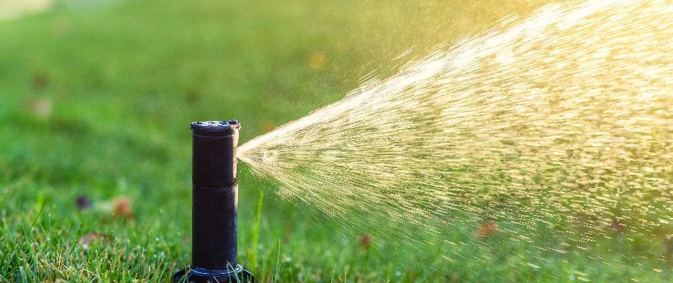 Black sprinkler head dispensing water in Hemby Bridge, NC.