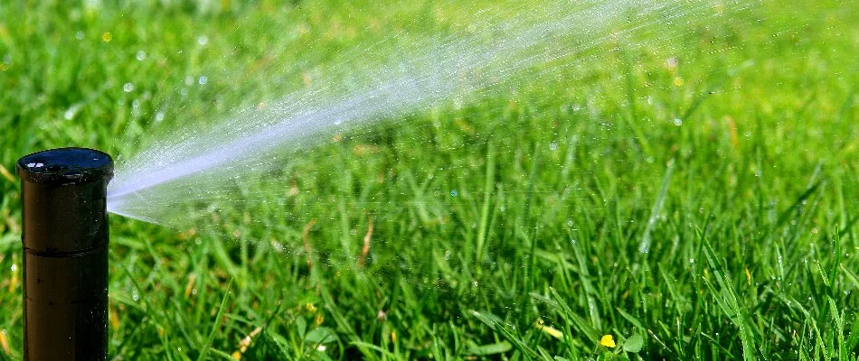 Black sprinkler head spraying water on grass in Indian Land, SC.