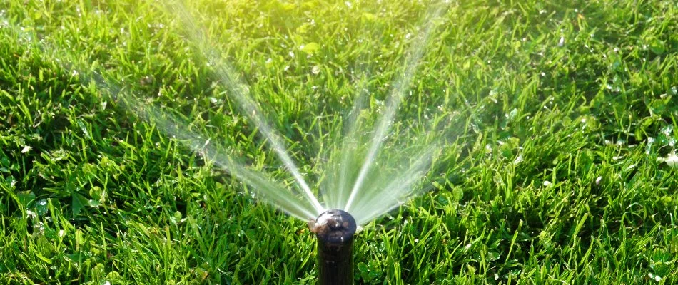 Close up of a sprinkler head in Lesslie, SC.