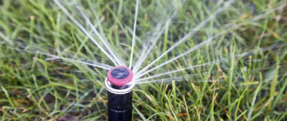 Closeup of a sprinkler watering grass in Mecklenburg County, NC.