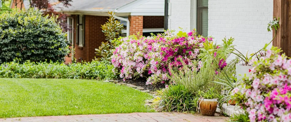 Colorful flowers and plants in a landscape in Hemby Bridge, NC.