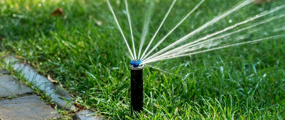 Green lawn in Baxter Village, SC, with a sprinkler head for irrigation system.