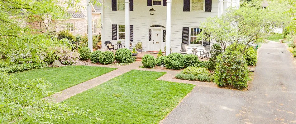 Shrubs and grass in front of a house in Mineral Springs, NC.