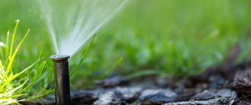 Sprinkler head on a mulched area in Mount Holly, NC, near a lawn.