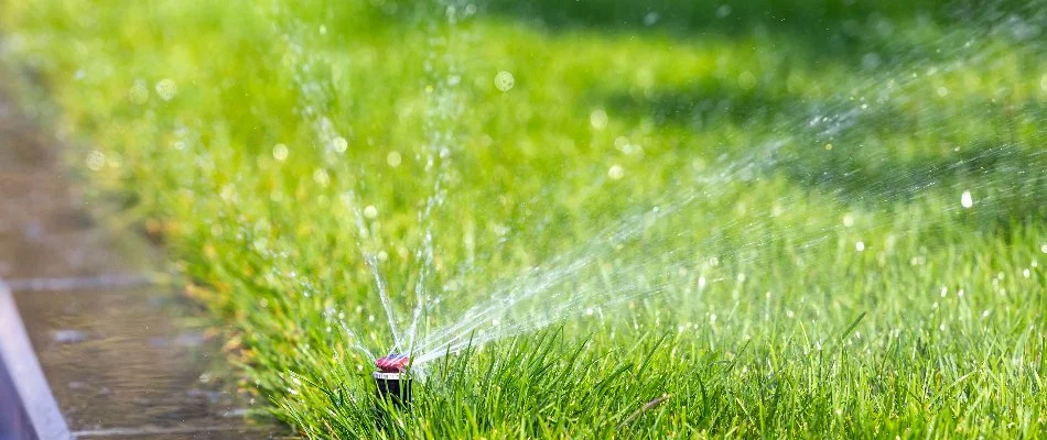 Sprinkler watering grass near a curb in Fairview, NC.