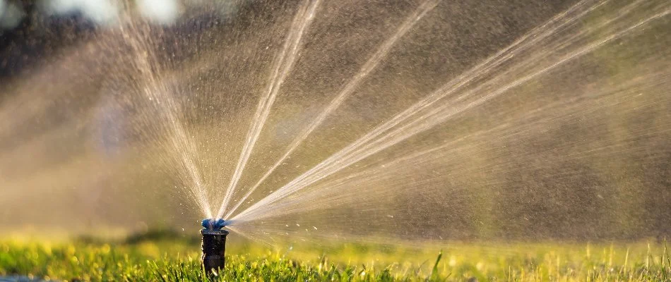 Water coming from a sprinkler head in Catawba, SC.