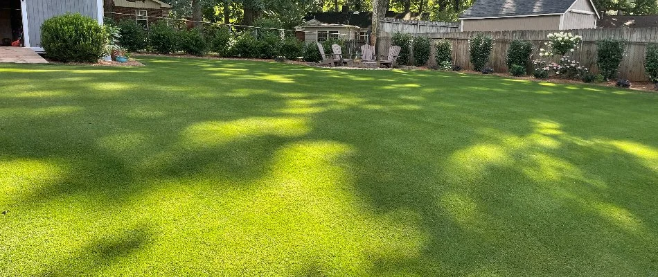 Yard in Lesslie, SC, with thick, green grass.