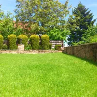 lawn with new landscape